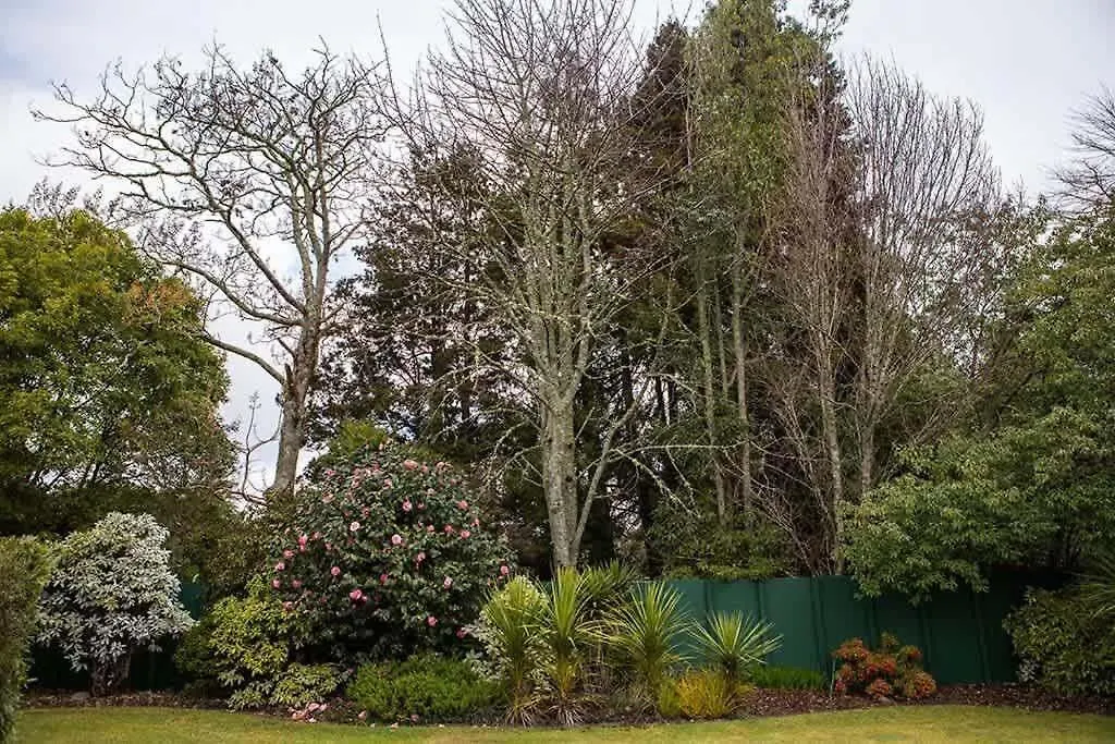 Leo'S Place Rotorua